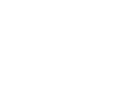 Professional Concierge Services